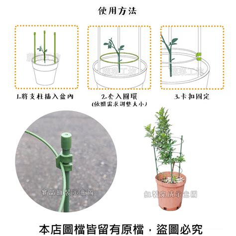 攀藤架|蔬菜工坊 攀藤架(盆栽支架環)120公分 2組/件 爬藤架園。